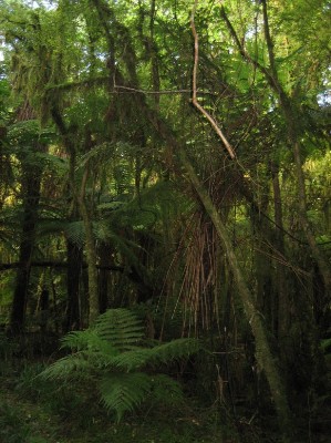133_copland track.JPG