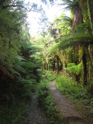 134_copland track.JPG