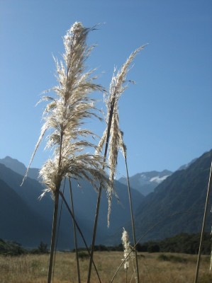 135_copland track.JPG
