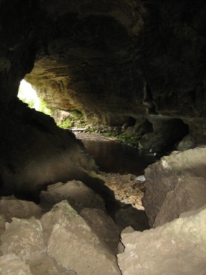 92_karamea_limestone caves.JPG