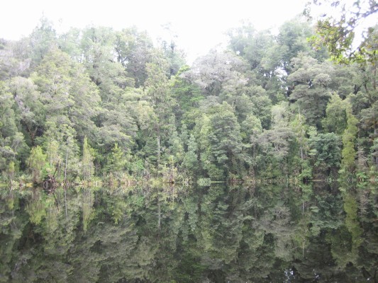 94_karamea_oparara bassin.JPG